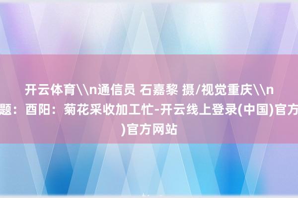 开云体育\n通信员 石嘉黎 摄/视觉重庆\n原标题:酉阳:菊花采收加工忙-开云线上登录(中国)官方网站