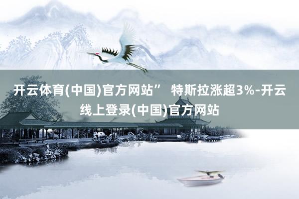 开云体育(中国)官方网站”  特斯拉涨超3%-开云线上登录(中国)官方网站